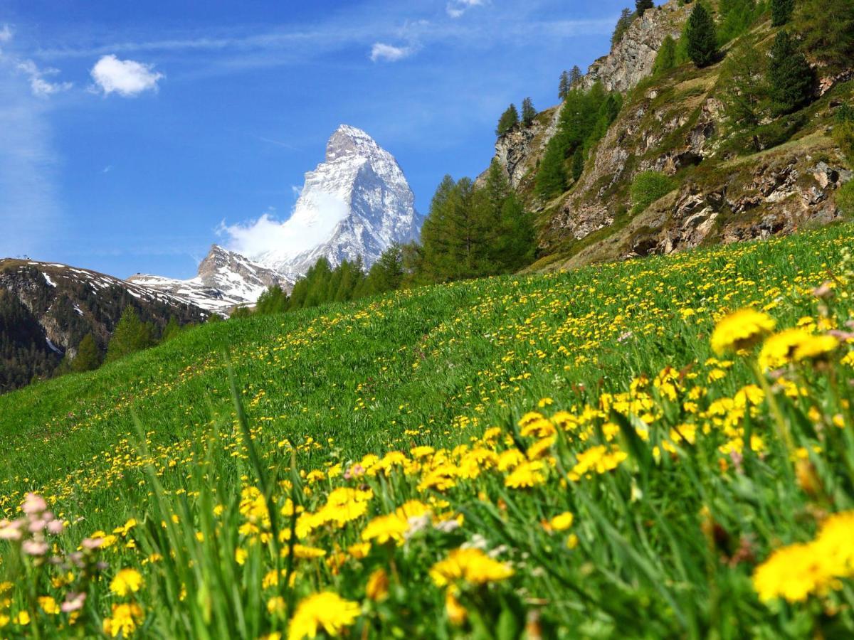 Apartment Select By Interhome Zermatt Exteriér fotografie